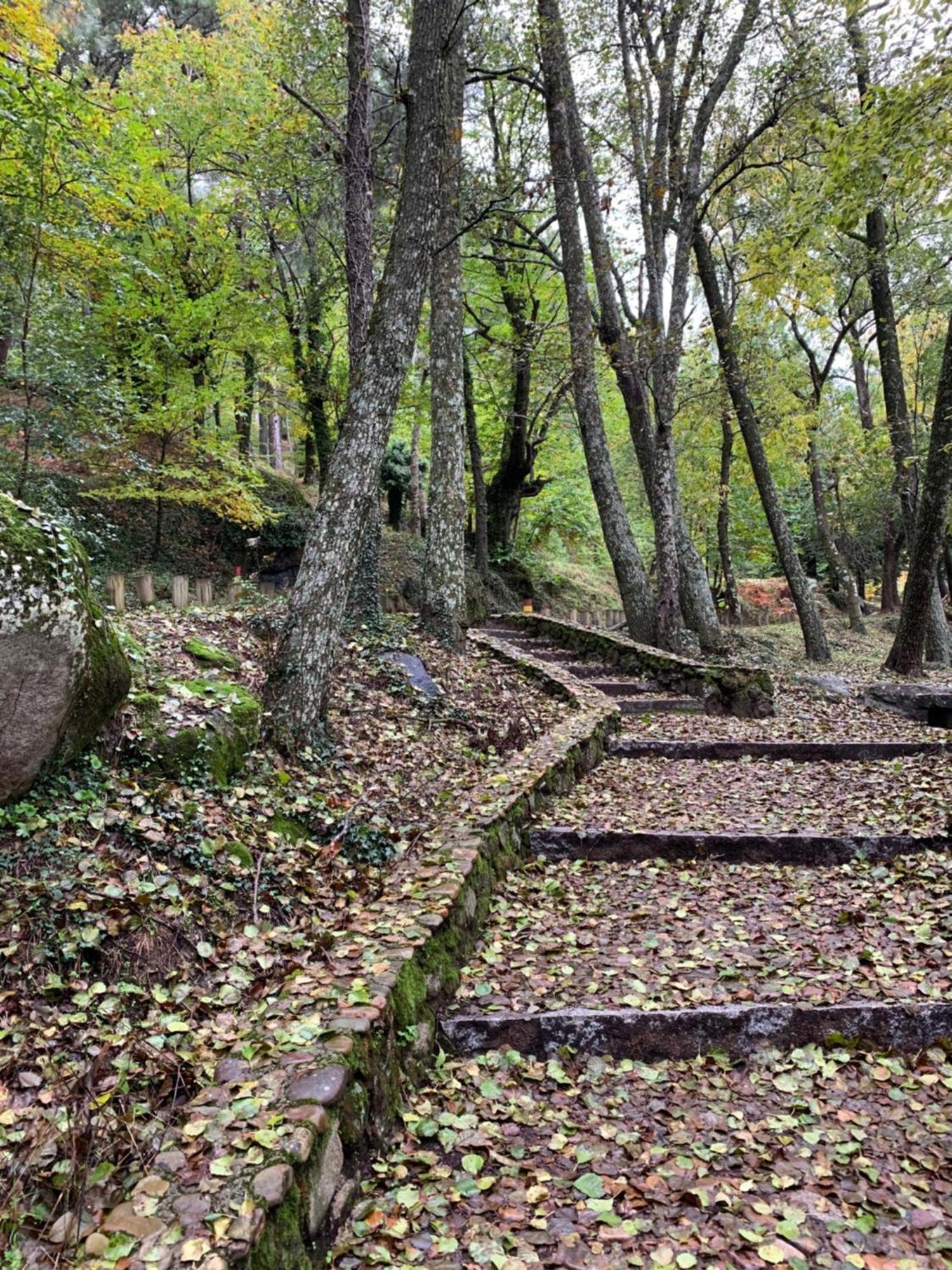 Villa El Refugio de Felix Sotillo de la Adrada Exterior foto